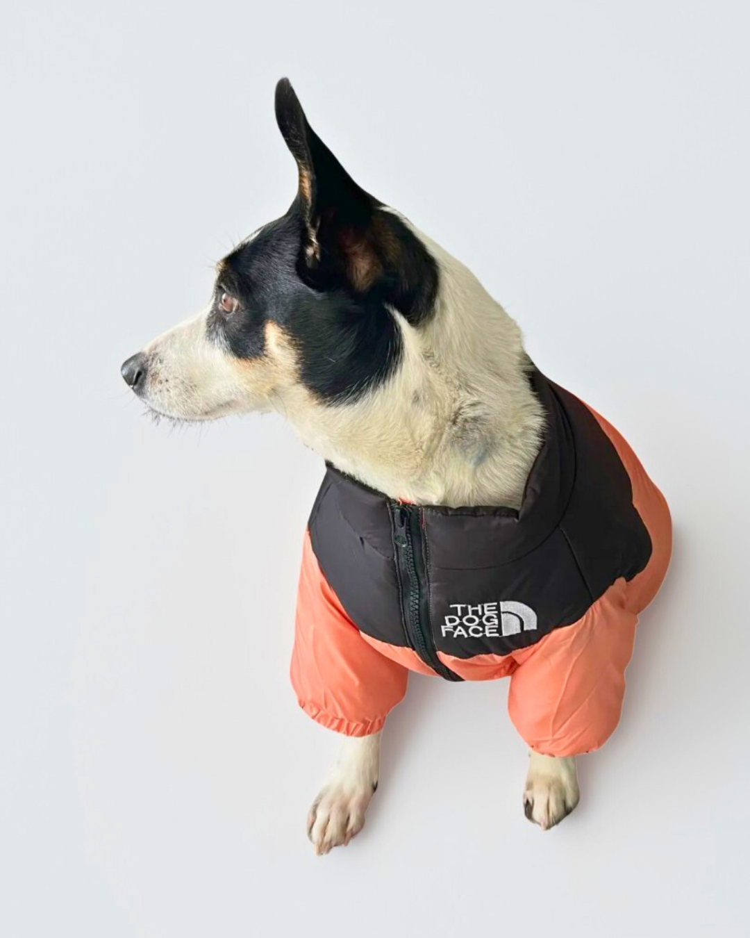 PawLuxe™ - Puffer Jacket